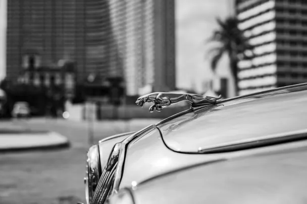 Casino Golden Reels Aplicación Android/iOS